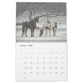 Paardenkalender 2018 kalender (Jan 2027)