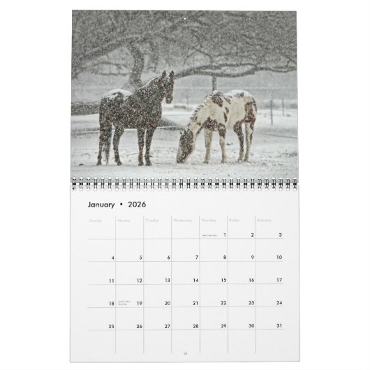 Paardenkalender 2018 kalender (Jan 2026)