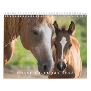 Paardenkalender 2026 Met Foto's Kalender