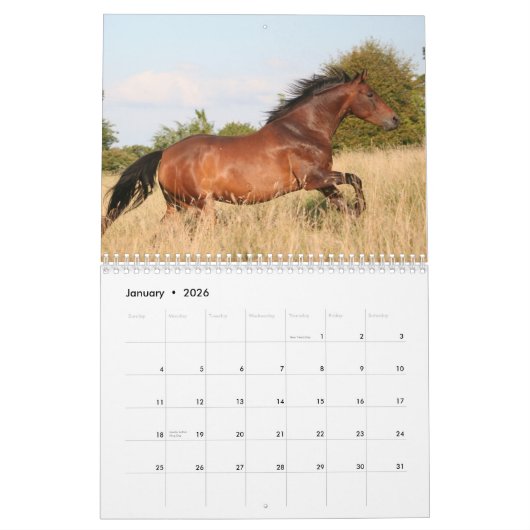 Paardenkalender 2026 Met Foto's Kalender (Jan 2026)