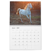 Paardenkalender 2026 Met Foto's Kalender (Mar 2027)