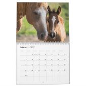 Paardenkalender 2026 Met Foto's Kalender (Feb 2027)