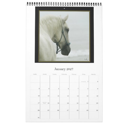 Paardenkalender - Andalusië, Friesisch-Lipizzaans Kalender (Jan 2027)