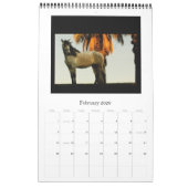 Paardenkalender - Andalusië, Friesisch-Lipizzaans Kalender (Feb 2026)