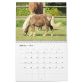 Paardenkalender gepersonaliseerd kalender (Feb 2026)