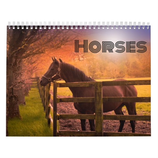 Paardenkalender Kalender (Hoes)