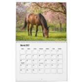 Paardenkalender Kalender (Mar 2027)