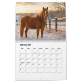 Paardenkalender Kalender (Feb 2027)