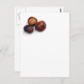 paardenkastanje briefkaart (Voorkant / Achterkant)