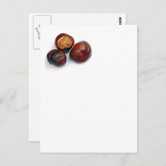 paardenkastanje briefkaart (Voorkant / Achterkant)