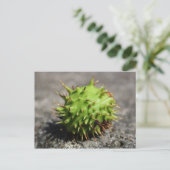 Paardenkastanje iPhone Post Card Briefkaart (Staand voorkant)