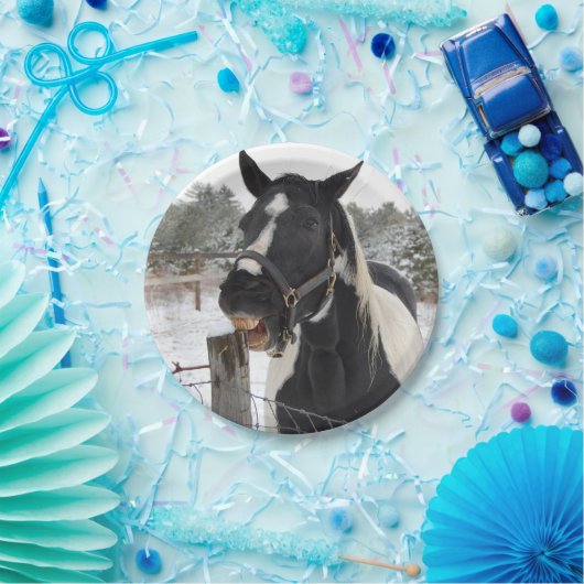 Paardenkauwspiering Papieren Bordje (Feest)