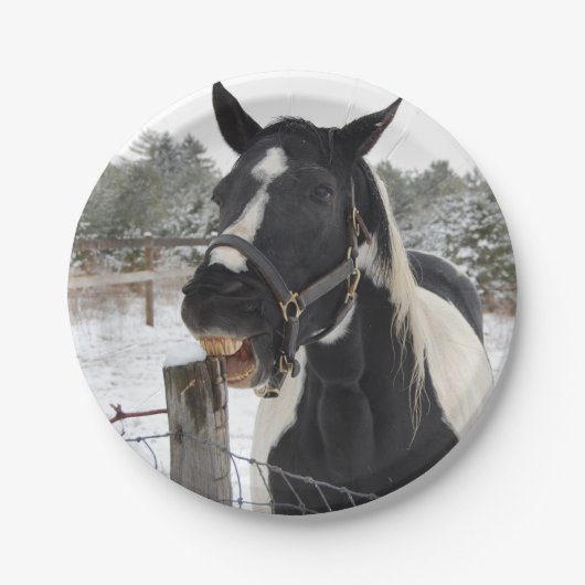 Paardenkauwspiering Papieren Bordje (Voorkant)