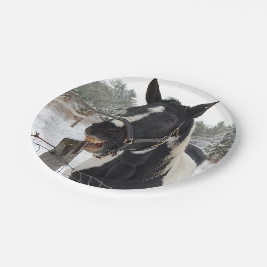 Paardenkauwspiering Papieren Bordje (Gekanteld)