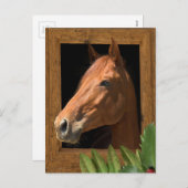 Paardenkerst Feestdagenkaart (Voorkant / Achterkant)