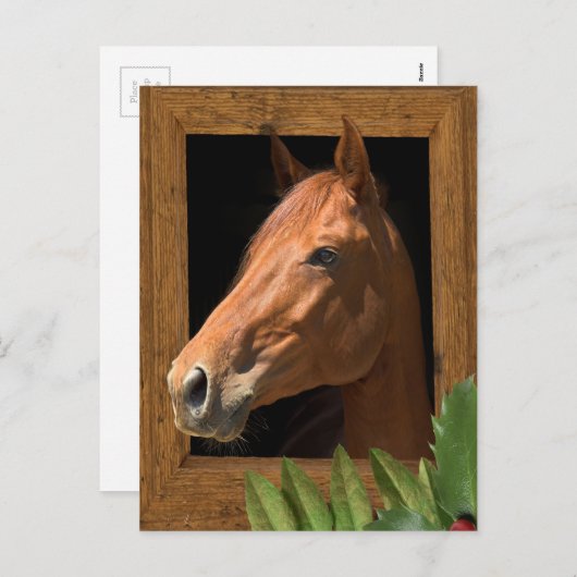 Paardenkerst Feestdagenkaart (Voorkant / Achterkant)