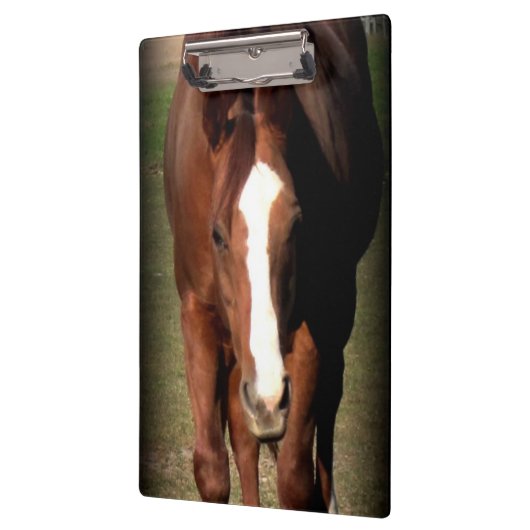 Paardenklembord Klembord (Links)