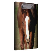 Paardenklembord Klembord (Rechts)