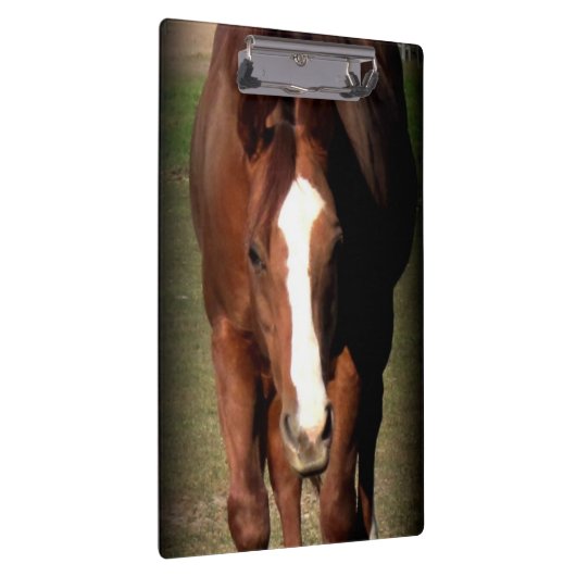 Paardenklembord Klembord (Rechts)