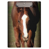Paardenklembord Klembord (Voorkant)