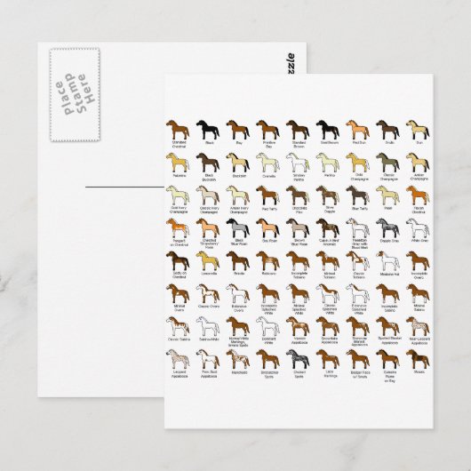 Paardenkleuren Briefkaart (Voorkant / Achterkant)