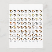 Paardenkleuren Briefkaart (Voorkant)