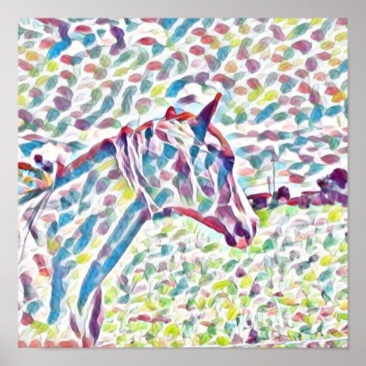 Paardenkleuren, Poster (Voorkant)