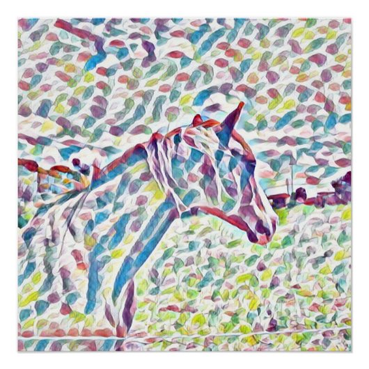 Paardenkleuren, Poster (Voorkant)