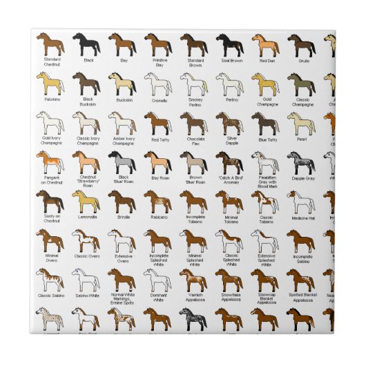 Paardenkleuren Tegeltje (Voorkant)