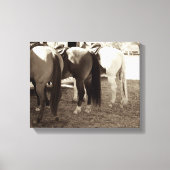 Paardenknoppen Canvas Foto (Voorkant)