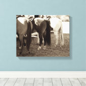 Paardenknoppen Canvas Foto Afdruk (Insitu (Houten vloer))