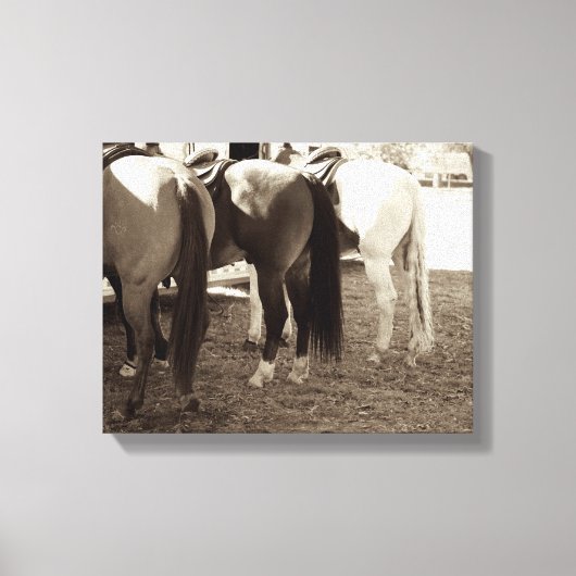 Paardenknoppen Canvas Foto Afdruk (Voorkant)