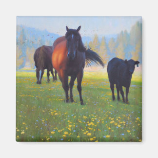 Paardenkoeler Magnet