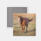 Paardenkoeler Magnet (Voorkant / Achterkant)