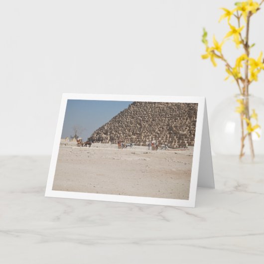 Paardenkoetsen in Giza, Caïro Kaart (Gele Bloem)