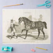 Paardenkoetsier Ephemera Decoupage  Frans Tissuepapier (Craft)