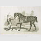 Paardenkoetsier Ephemera Decoupage Frans Tissuepapier (Voorkant)