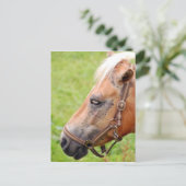 Paardenkop 003 briefkaart (Staand voorkant)