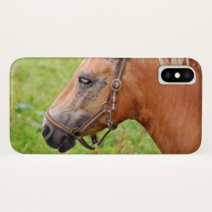 Paardenkop 003 iPhone x hoesje