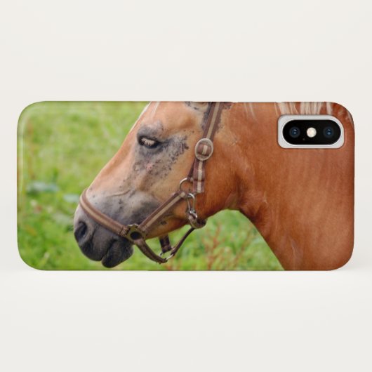 Paardenkop 003 Case-Mate iPhone case (Achterkant (horizontaal))