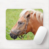 Paardenkop 003 muismat (Met muis)