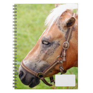 Paardenkop 003 notitieboek