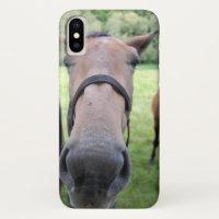 Paardenkop 004