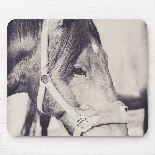 Paardenkop 009 muismat (Voorkant)