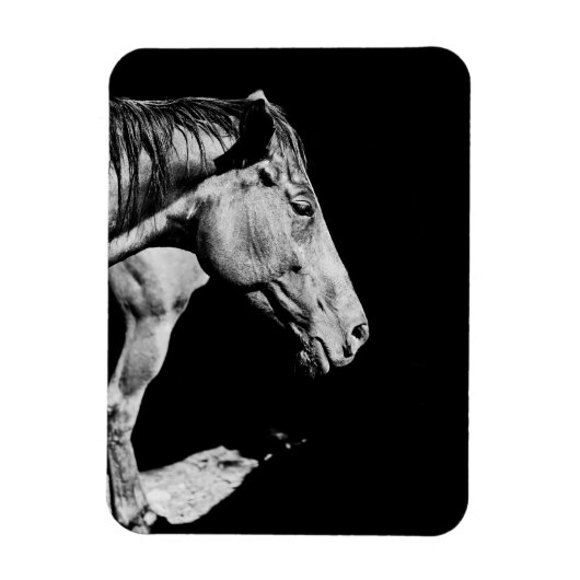 paardenkop been magneet (Verticaal)