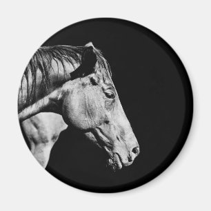 paardenkop been magneet