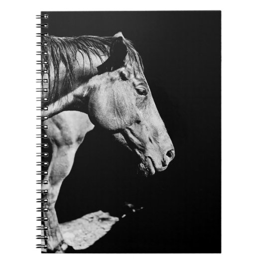 paardenkop been notitieboek (Voorkant)
