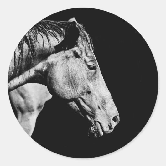 paardenkop been ronde sticker (Voorkant)