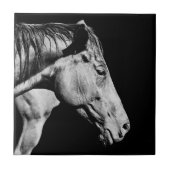 paardenkop been tegeltje (Voorkant)