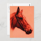 Paardenkop Briefkaart (Voorkant / Achterkant)